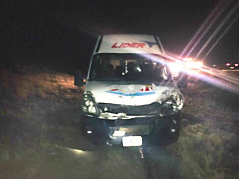 Vehículo de pasajeros chocó con un guanaco