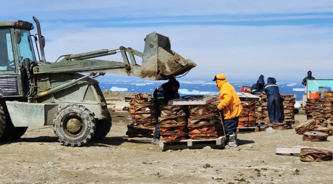 Se completó exitosamente el plan de retiro de residuos históricos en la base Belgrano II