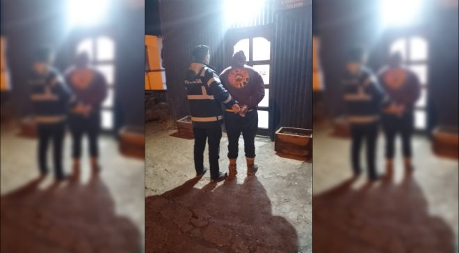 Se filmó matando a una yegua y a su potrillo: fue detenido y ya está libre