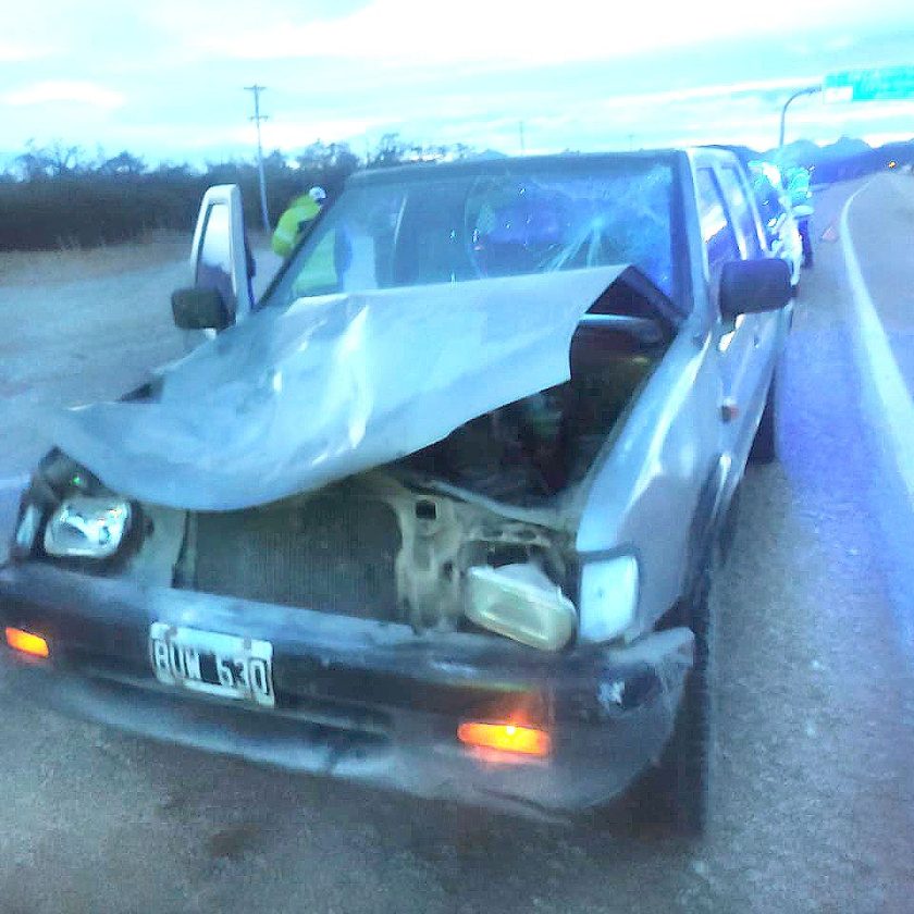 Un hombre y un caballo resultan heridos en un incidente vial