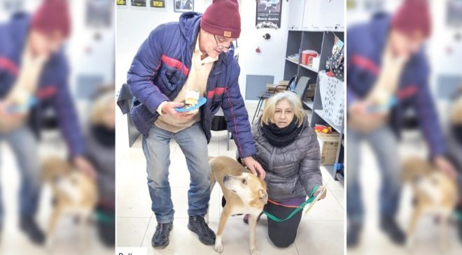 Zoonosis celebró los cumpleaños de las mascotas que residen en los caniles municipales.  Oso, Melba y Bolt ya tienen una familia y un hogar   La Municipalidad de Ushuaia a través de la Secretaría de Políticas Sociales, Sanitarias y Derechos Humanos, con la participación de la Secretaría de las Mujeres, Géneros y Diversidades, el Centro de Atención Vecinal de Ushuaia (CAVU), representantes de Amigos del Reino Animal Fueguino (ARAF), Sindicato de Obreros y Empleados Municipales (SOEM) y el voluntariado de la Dirección de Zoonosis, formaron parte de los festejos de los aniversarios de natalicios de los animales que residen en los caniles del Municipio.  En el marco del programa de tenencia responsable y la importancia de propiciar la adopción de animales que aguardan en los caniles ubicados en Vito Dumas, como así también camino al Parque Nacional, se realizó un festejo junto a los vecinos, quienes se acercaron interesados en conocer a los distintos animales, para interiorizarse sobre la adopción.  Durante el evento, se compartió un balance los trabajos realizados hasta el momento, como así también las tareas que realiza el equipo de la Dirección junto a ARAF y los voluntarios, quienes colaboran con los paseos y compartir tiempo de calidad con los animales.  Cabe mencionar que, en el marco de esta celebración, tres familias de la ciudad concretaron la adopción de los perros; Oso, Melba y Bolt, de distintas edades que aguardaban un hogar desde hace años. Los responsables de los animales se acercaron al lugar y luego de recibir asesoramiento, realizaron el período de adaptación para después confirmar la estadía permanente en la vivienda.