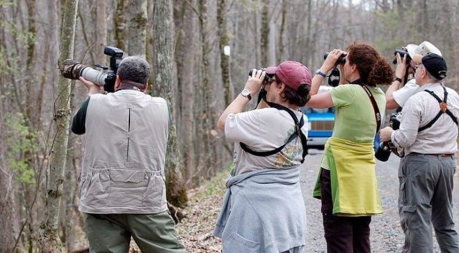 Ushuaia se suma al "Conteo Mundial de Aves"