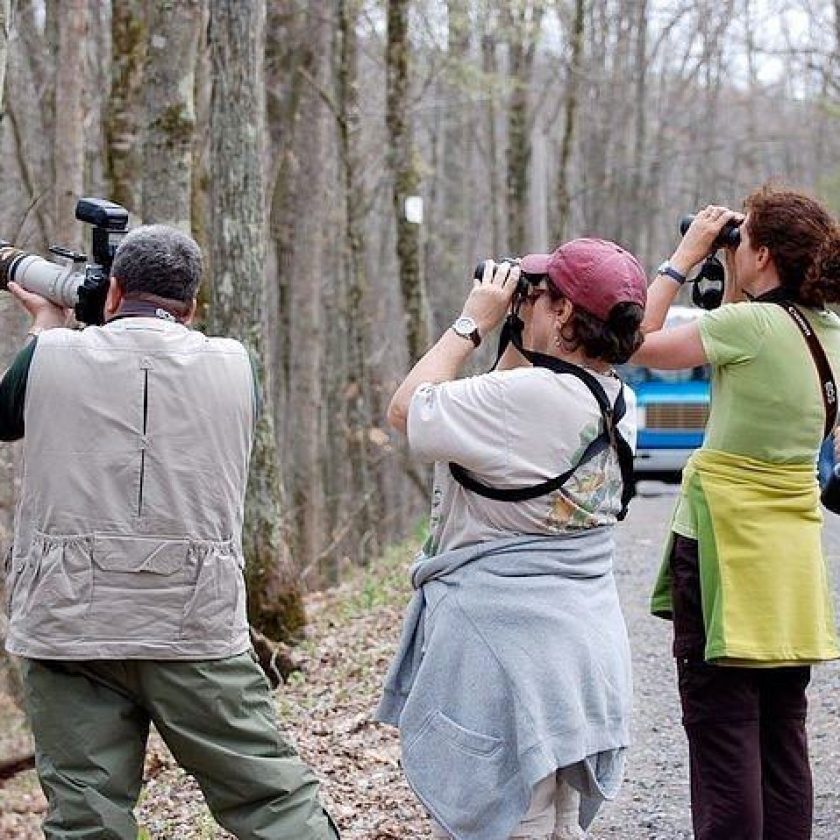 Ushuaia se suma al "Conteo Mundial de Aves"