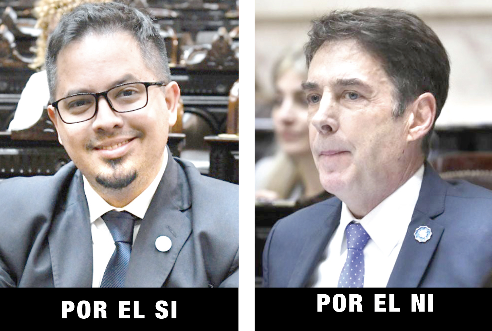 Así votaron los diputados fueguinos sobre el veto de Milei