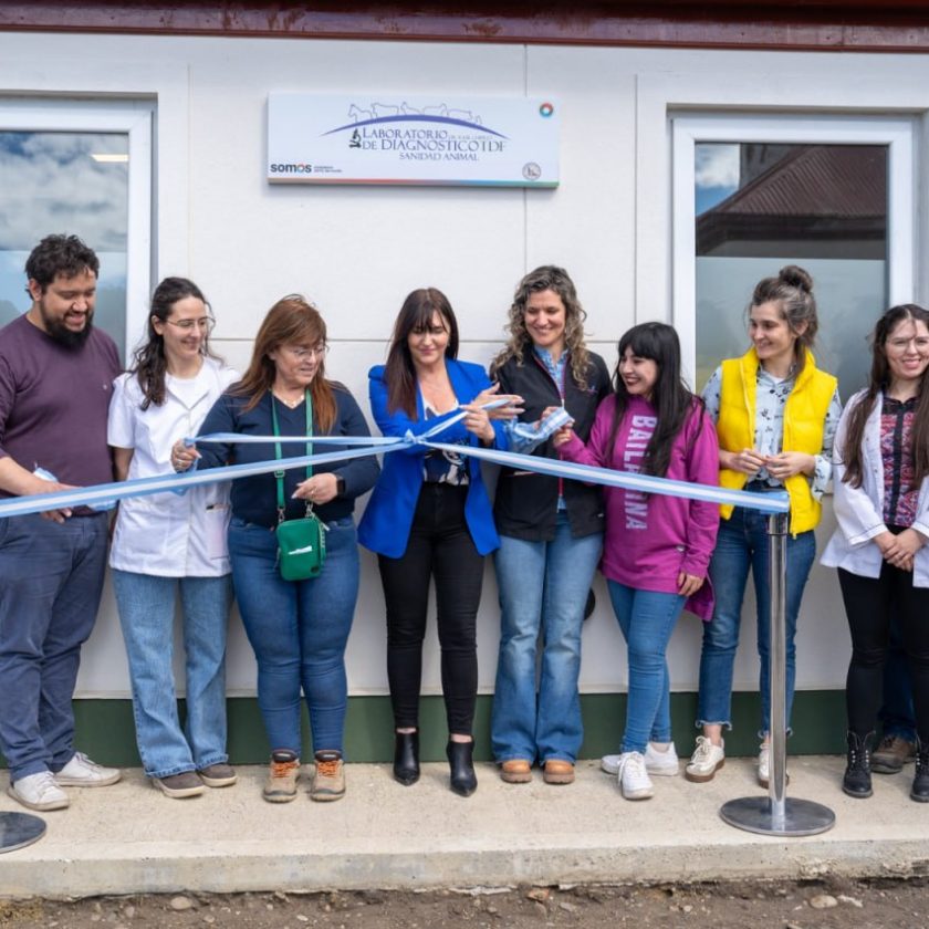 La ministra de Producción y Ambiente, Karina Fernández junto a su par de Obras y Servicios Públicos, Gabriela Castillo, participaron de la inauguración de las nuevas instalaciones de la ampliación del laboratorio de sanidad animal “Raúl Chifflet”, ubicado en el predio de la Asociación Rural Tierra del Fuego en la ciudad de Río Grande. El nuevo espacio apunta a mejorar servicios que involucran a bovinos, ovinos y porcinos y a animales domésticos. En el lugar se refuncionalizó la unidad diagnóstica separando los espacios en cuatro laboratorios que brindan análisis clínicos, serología y enfermedades venéreas, microbiología y triquinosis. Finalizada la recorrida, la secretaria de Desarrollo Productivo y PyME, Carolina Hernández, destacó la importancia de contar con nuevas instalaciones al servicio de la salud pública y la sanidad animal y también destacó la gestión realizada por el Ministerio de Producción y Ambiente para la adquisición de equipamiento con fondos propios y gestionado con programas nacionales. La funcionaria recordó que “éste es el único laboratorio en la provincia que cuenta con estas características, y es reconocido a nivel regional y nacional por toda la información que reporta, vinculada a cuestiones de la salud pública. También está reconocido en la Red de Laboratorios de SENASA, haciendo que los resultados aquí obtenidos tengan validez nacional”. Por su parte la responsable del laboratorio Vilma Disalvo, aseguró que “esta ampliación nos va a permitir trabajar de una manera mucho más eficiente, con laboratorios diferenciados, realizando los diagnósticos para cada grupo de animales o grupo de enfermedades. La idea es seguir creciendo e incorporando más técnicas que nos ayudarán a conocer un poco más el estado sanitario de nuestra provincia y seguir profundizando en los diagnósticos que venimos realizando”. Durante el año 2023, el laboratorio procesó un total de 12.070 muestras, de las que 8.059 correspondieron al sector productivo, 3.147 a animales de compañía y 864 de vigilancia epidemiológica.