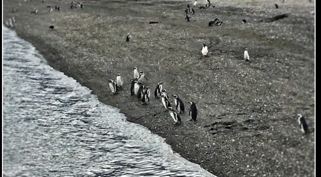 Encuentran antiguos restos humanos en Isla Gable