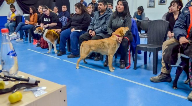 Vecinos de Ushuaia se capacitaron en reanimación de perros y gatos