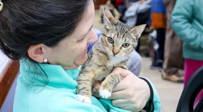 Jornada de adopción responsable, vacunación antirrábica y chipeo para perros y gatos en Río Grande