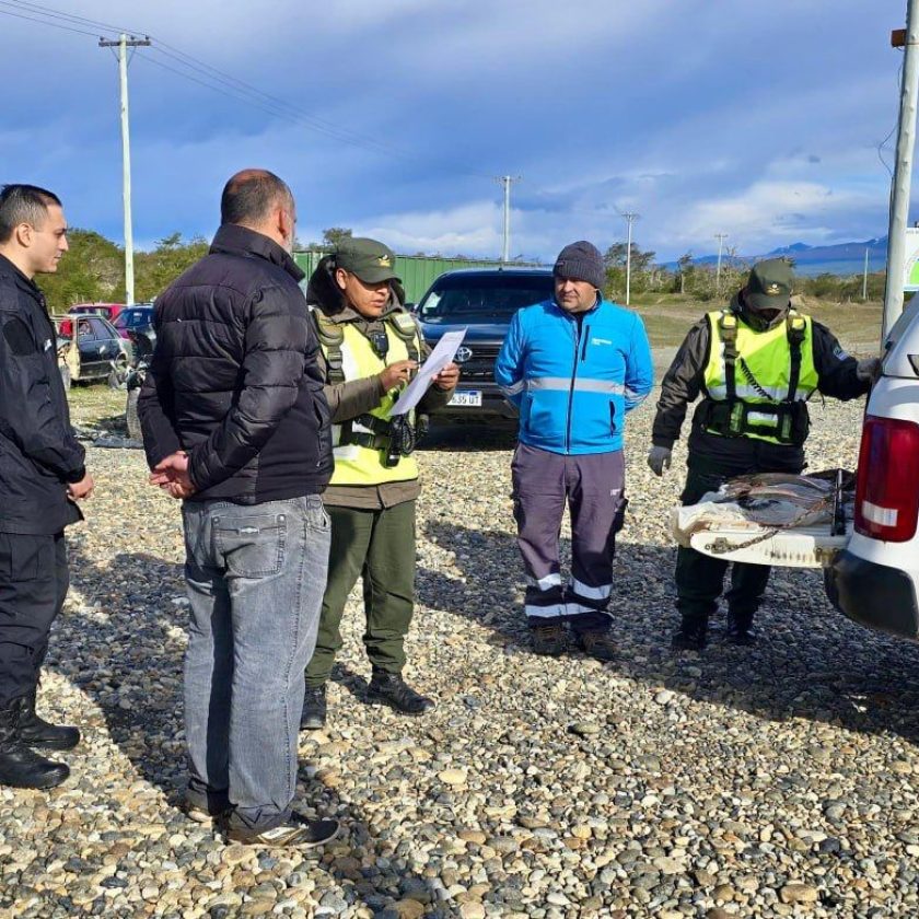 Personal de Gendarmería Nacional secuestró truchas y equipos de pesca