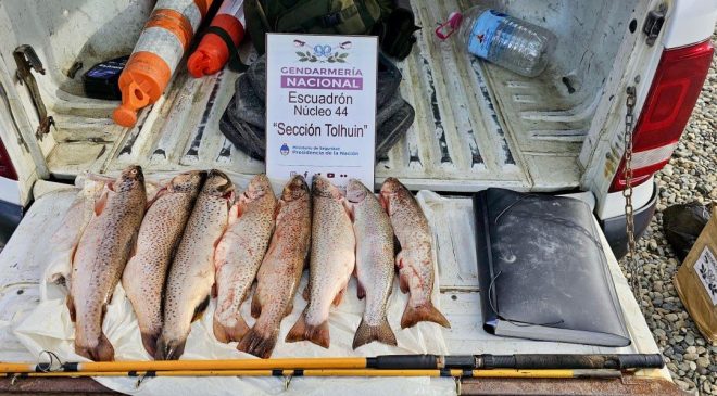 Personal de Gendarmería Nacional secuestró truchas y equipos de pesca