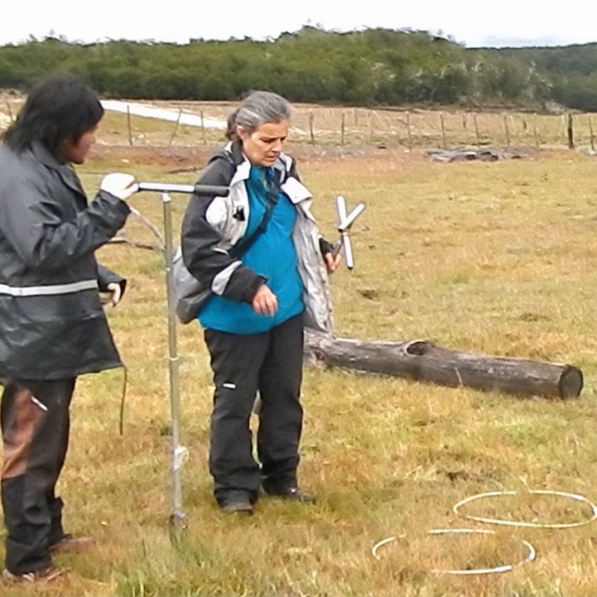 Falleció la investigadora científica Alicia Moretto