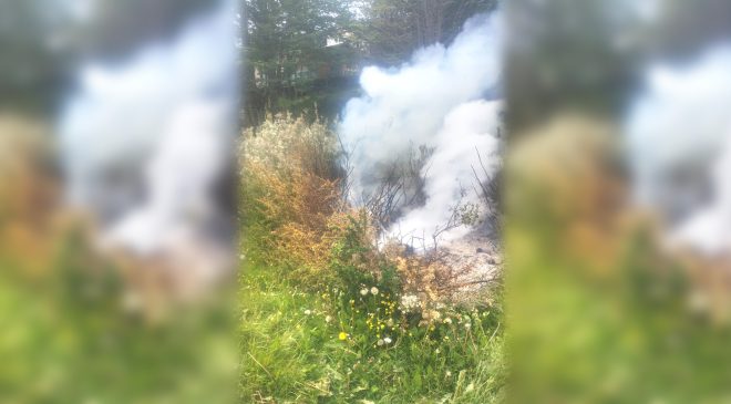 Detenida por quema de pastizales en La Cima