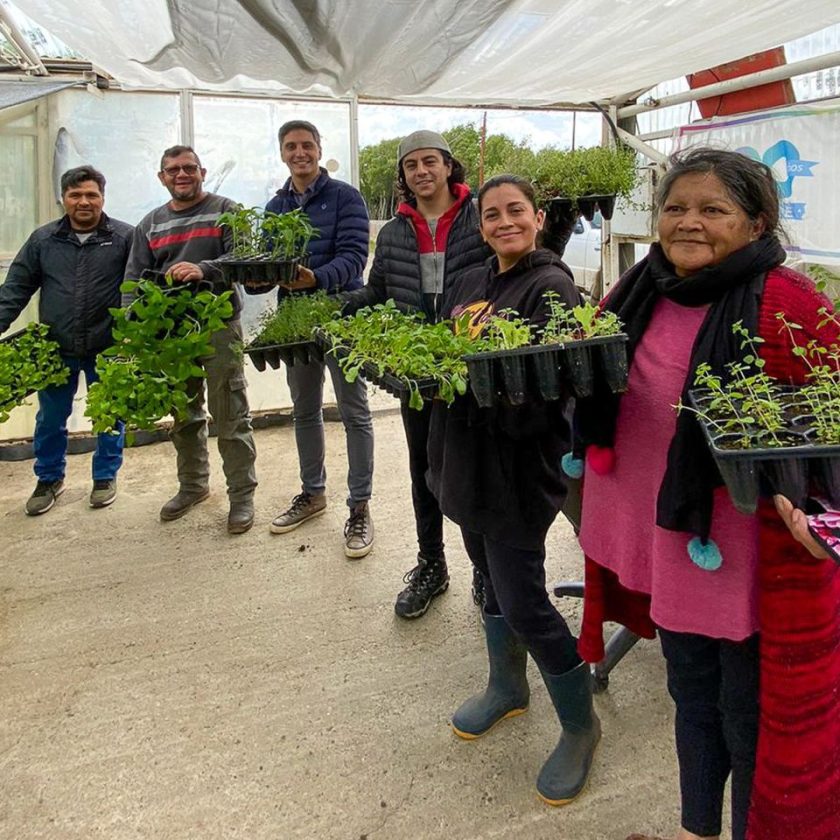 El Municipio entregará a productores casi dos millones de plantines