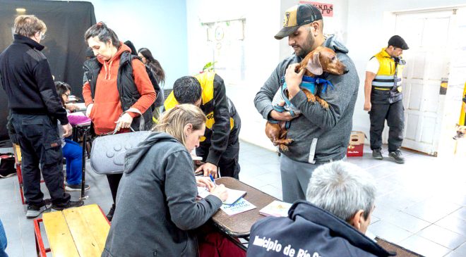 Vacunación antirrábica, desparasitación y chipeo para mascotas este sábado