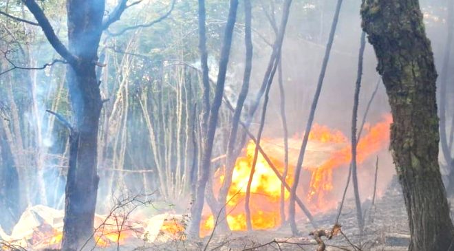 Ushuaia, en riesgo constante por incendios de interfase